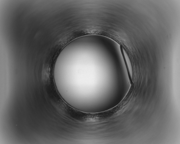 X0000095930263200801251056