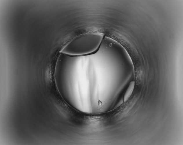 X0000095930268200801251056
