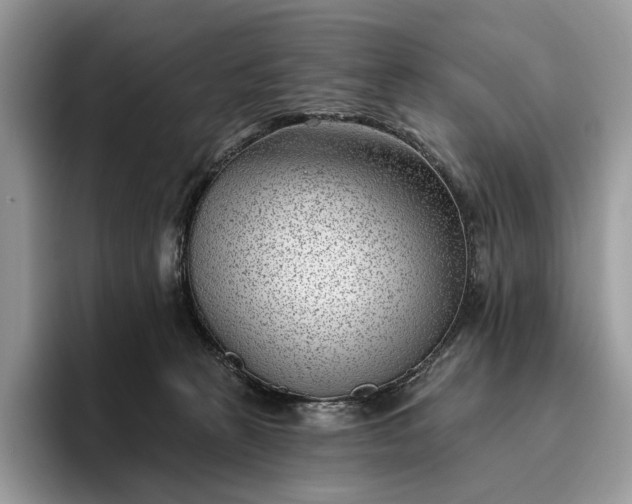 X0000095930273200801251056