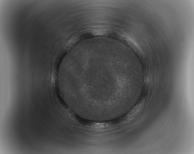 X0000095930277200801251056