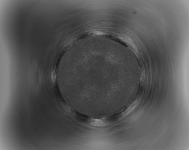 X0000095930285200801251056