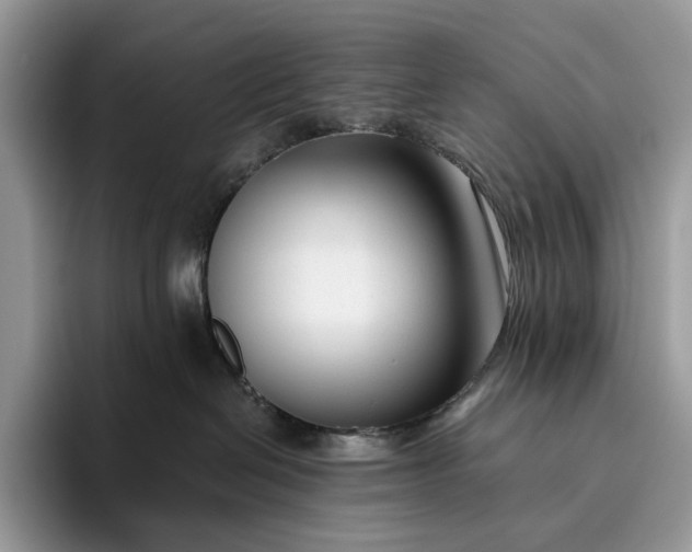 X0000095930286200801251056