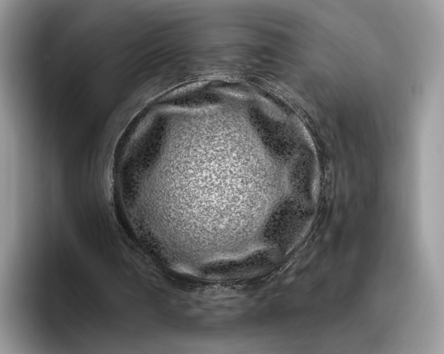 X0000095930290200801251055