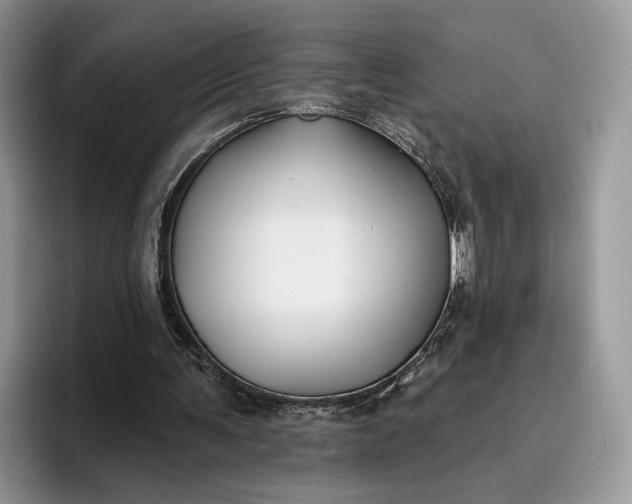 X0000095930291200801251055