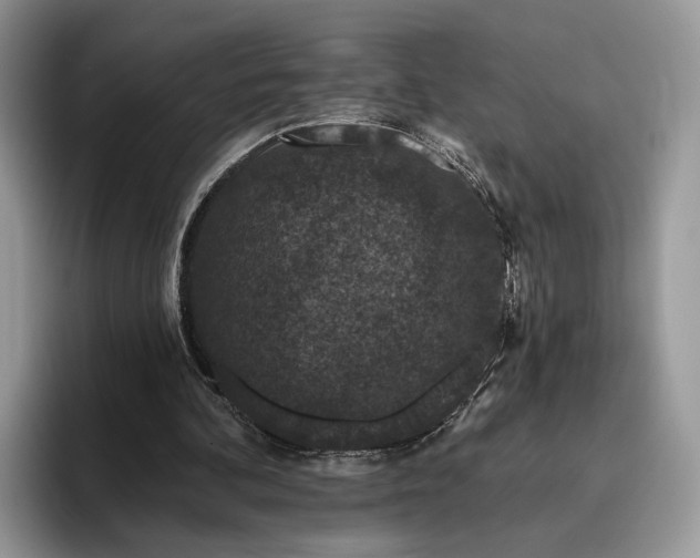 X0000095930292200801251055
