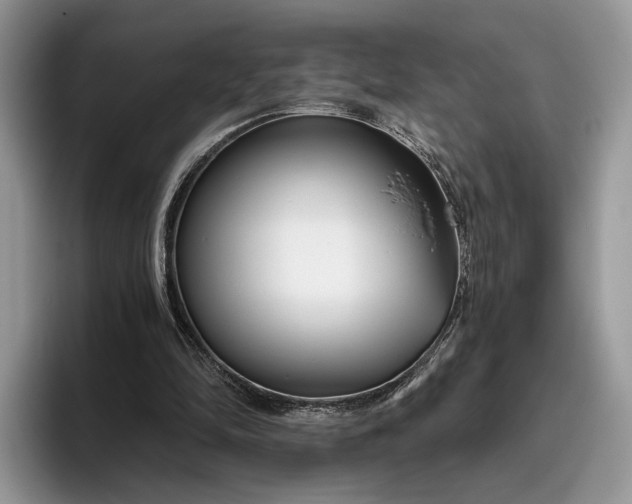 X0000095930294200801251055