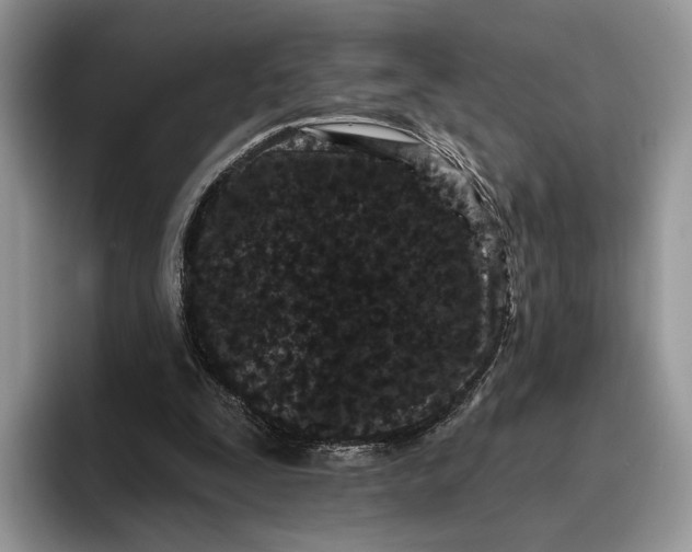 X0000095930295200801251055