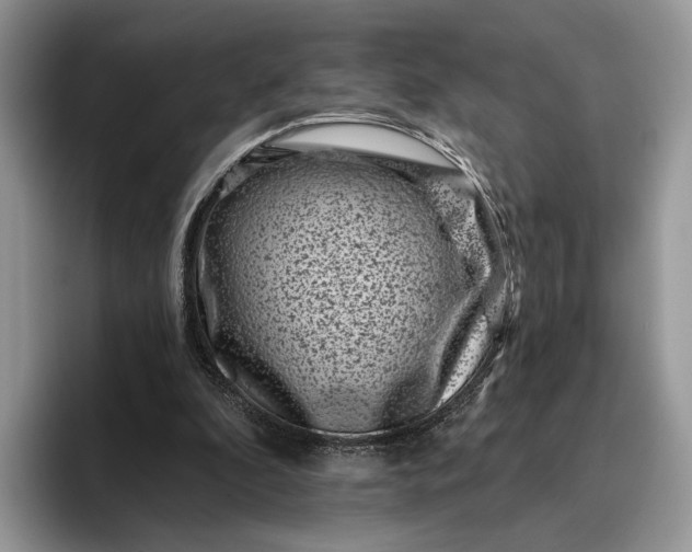 X0000095930296200801251055