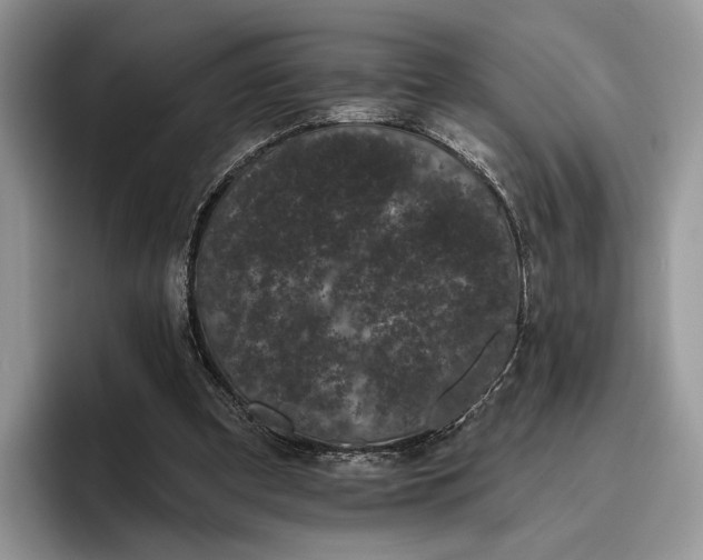 X0000095930297200801251055