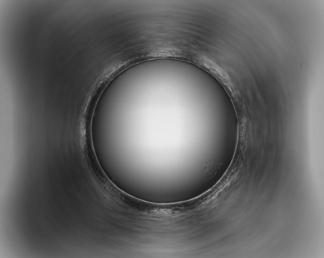 X0000095930298200801251055