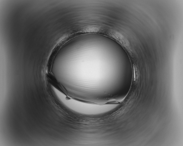 X0000095930300200801251055