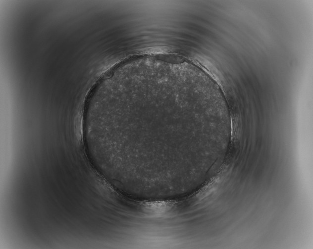 X0000095930301200801251055