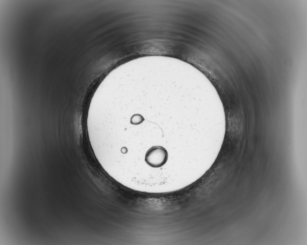 X0000095930302200801251055