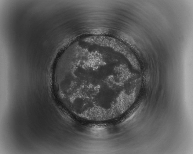X0000095930303200801251055