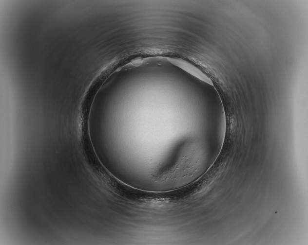 X0000095930304200801251055