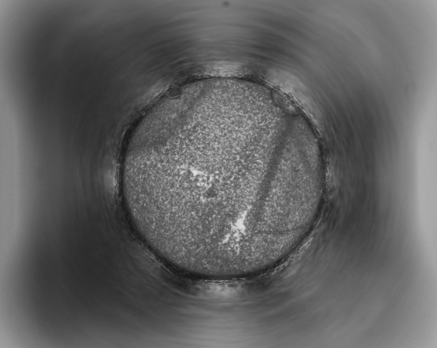 X0000095930305200801251055