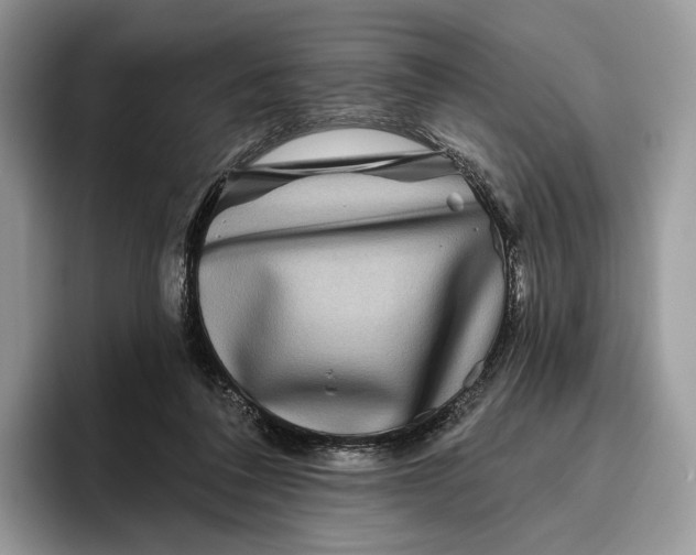 X0000095930308200801251055