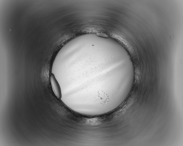 X0000095930309200801251055
