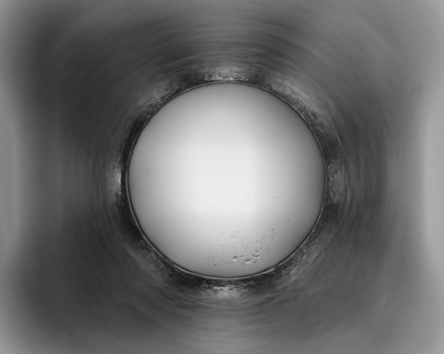 X0000095930310200801251055