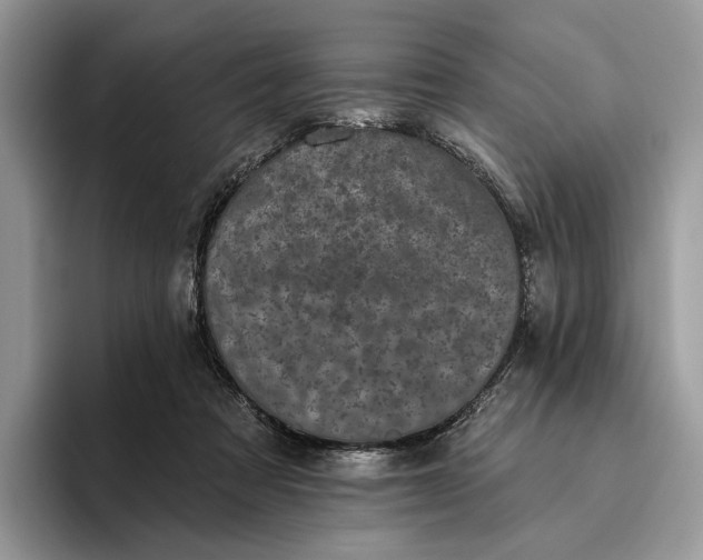 X0000095930313200801251055
