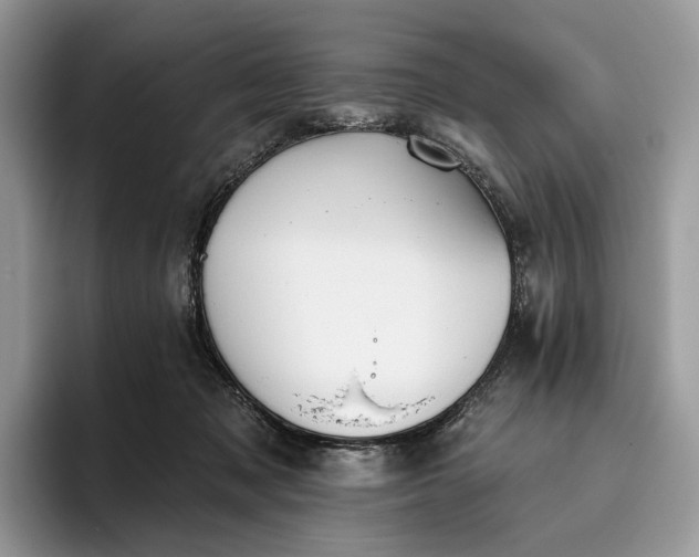 X0000095930317200801251055