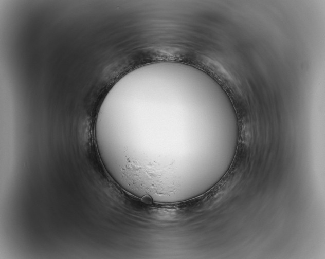 X0000095930318200801251055