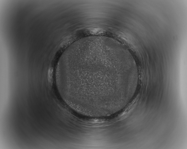 X0000095930319200801251055
