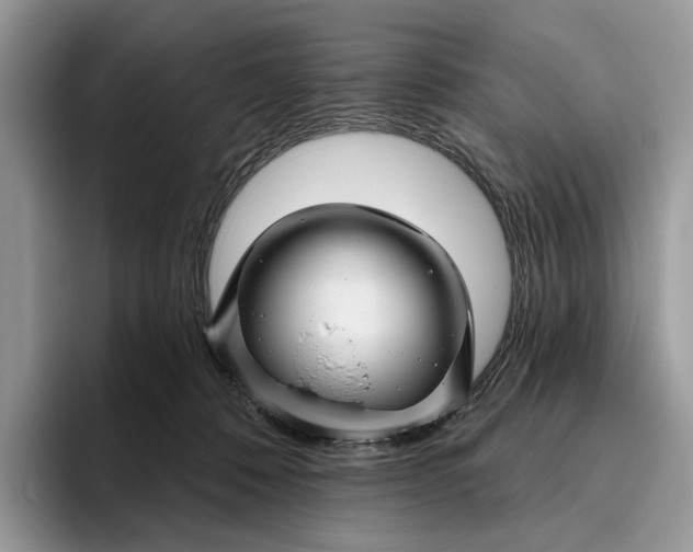 X0000095930320200801251055