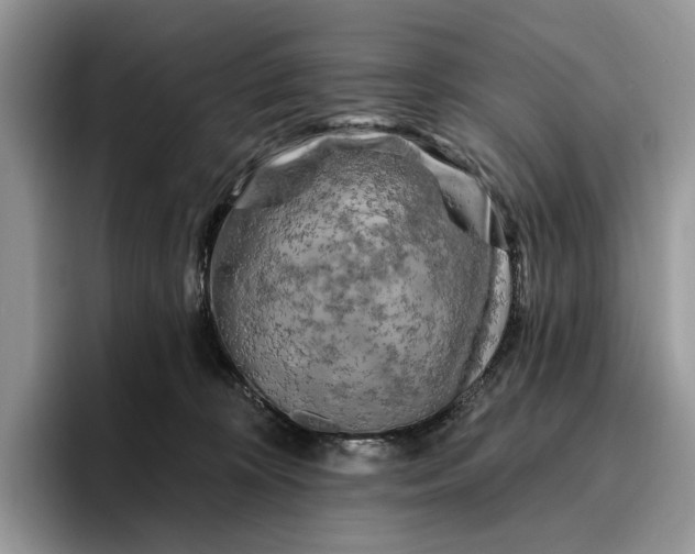 X0000095930324200801251055