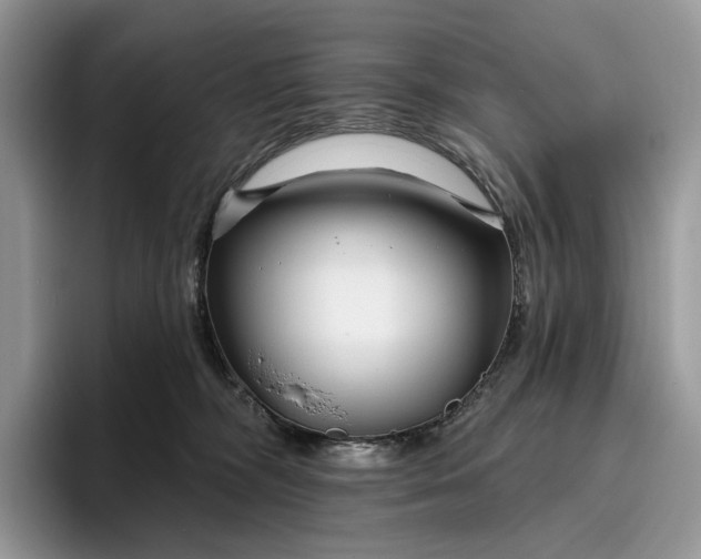 X0000095930326200801251055