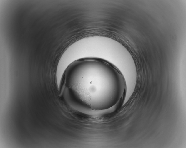 X0000095930328200801251055