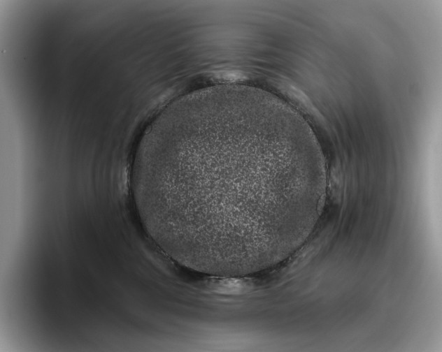 X0000095930330200801251055