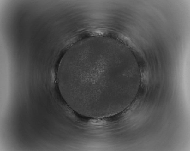 X0000095930331200801251055