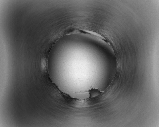 X0000095930335200801251055