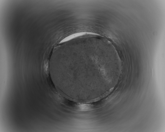 X0000095930336200801251055