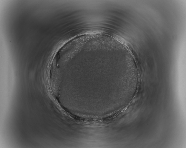 X0000095930337200801251054