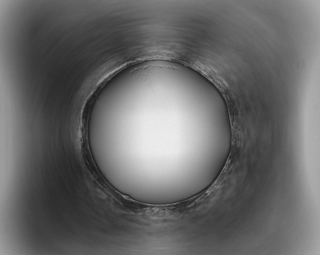 X0000095930338200801251054