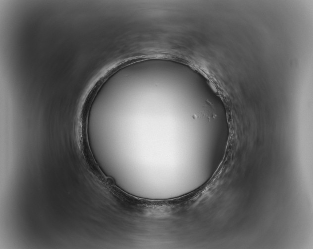X0000095930342200801251054