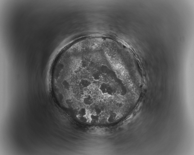 X0000095930343200801251054