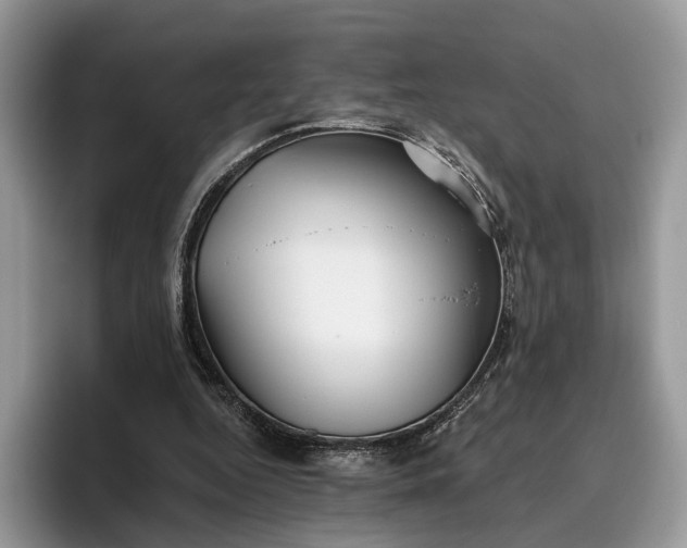 X0000095930344200801251054