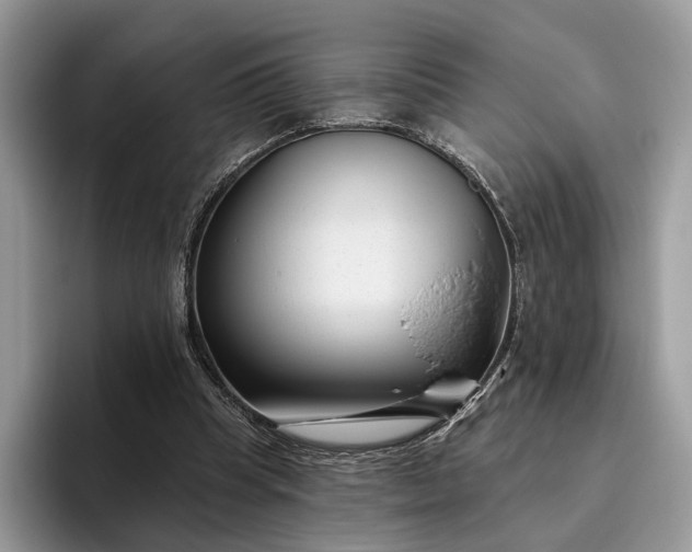 X0000095930345200801251054