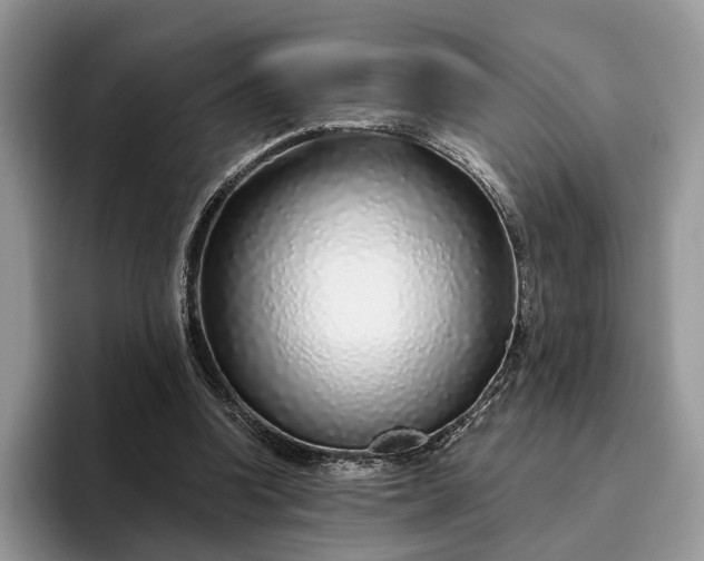 X0000095930346200801251054