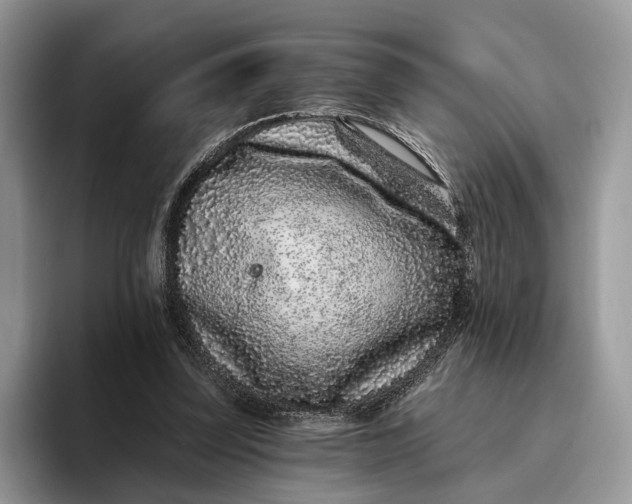 X0000095930347200801251054