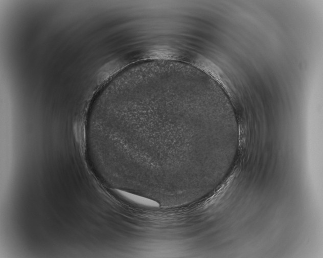 X0000095930349200801251054