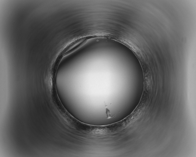X0000095930350200801251054