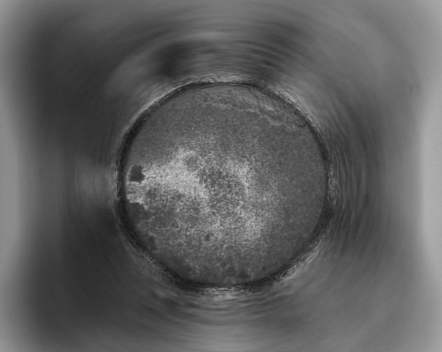 X0000095930351200801251054