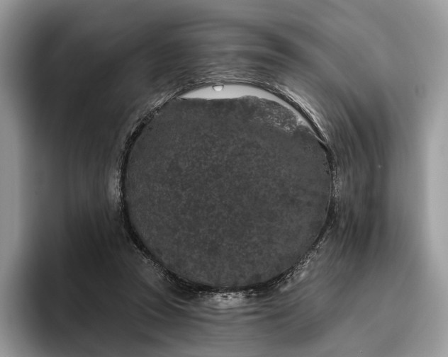 X0000095930353200801251054