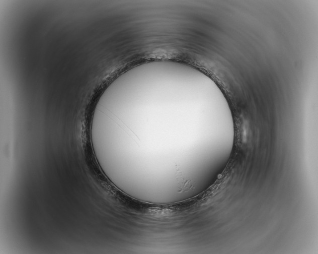 X0000095930354200801251054