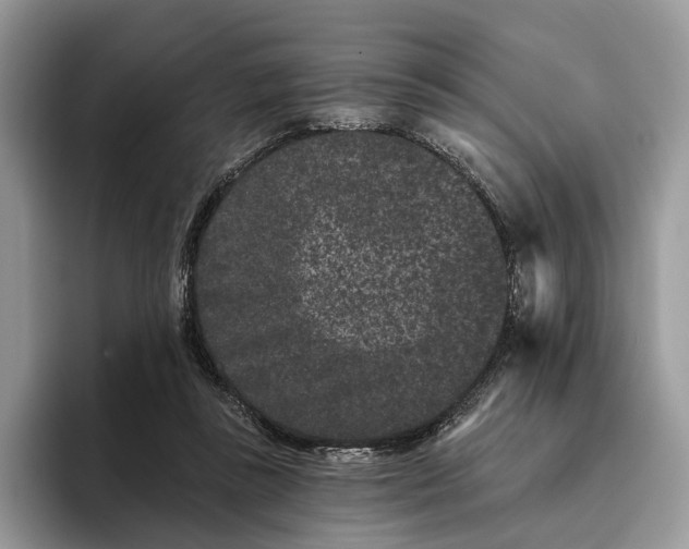 X0000095930355200801251054