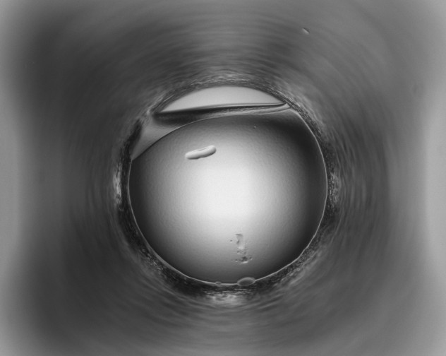 X0000095930358200801251054